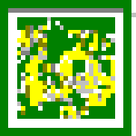 mdb编辑器免费软件下载 v8.2 绿色版