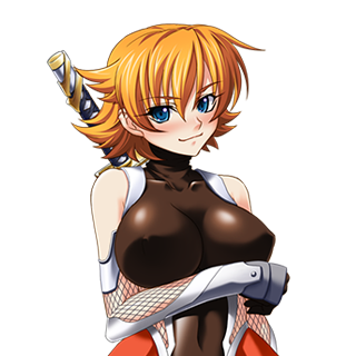 对魔忍阿莎姬合集汉化版人物介绍2